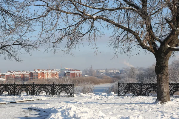 Vinter träd staket dome — Stockfoto