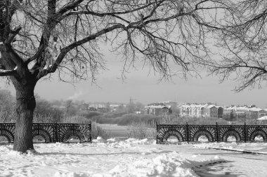 Park kış siyah ve beyaz