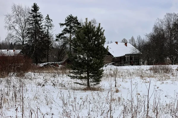 Maison rural hiver — Photo