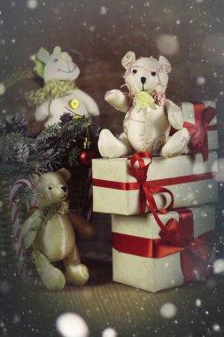 bir çam kozalağı Christmas dalları