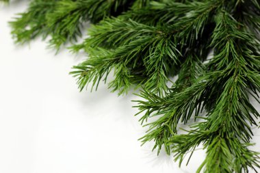 Yeni yıl ağacı oyuncak topu arka plan