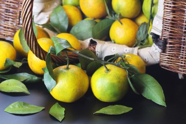 Mandarin meyvesi siyahı izole et