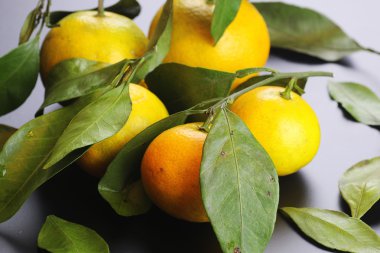 Mandarin meyvesi siyahı izole et