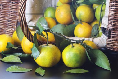 Mandarin meyvesi siyahı izole et