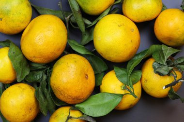 Mandarin meyvesi siyahı izole et