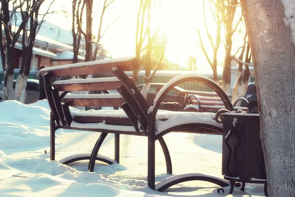 Winter-Parkbank-Allee — Stockfoto