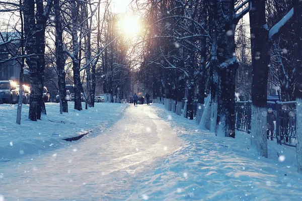 Sentiero degli alberi inverno — Foto Stock