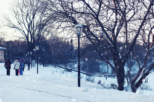 Via e albero della luce invernale — Foto Stock