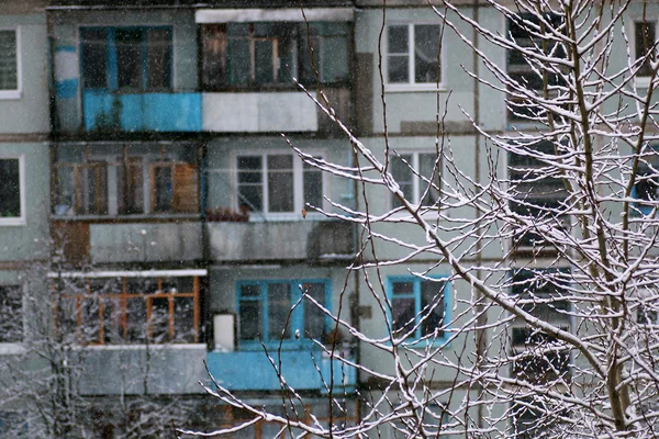 Árvores de neve quintal casa noite — Fotografia de Stock