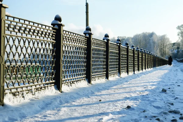 çit kapalı kar kış parkı