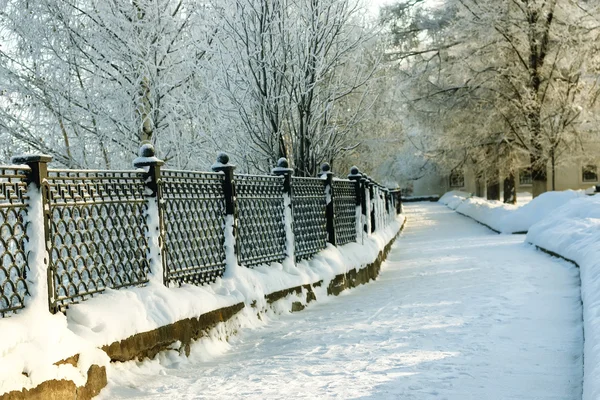 çit kapalı kar kış parkı