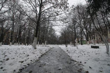Kış park yolu perspektif