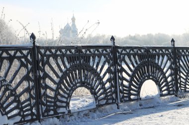 Kış ağaç çit kubbe