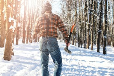 Huş ağacı kış orman adam balta ile