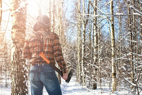 Nyír téli erdő ember fejszével — Stock Fotó
