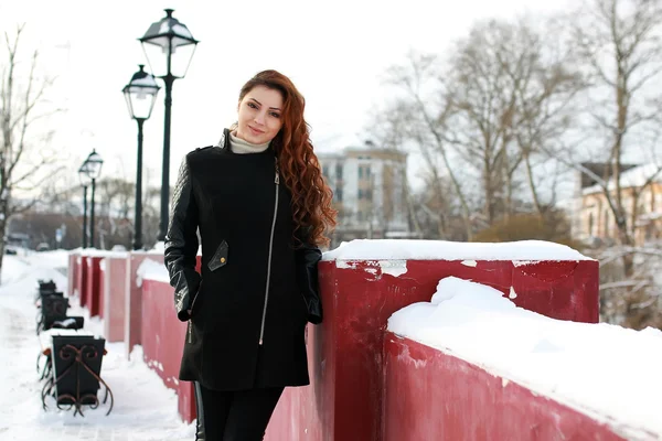 Weibchen auf Straßenlaternen Schnee — Stockfoto