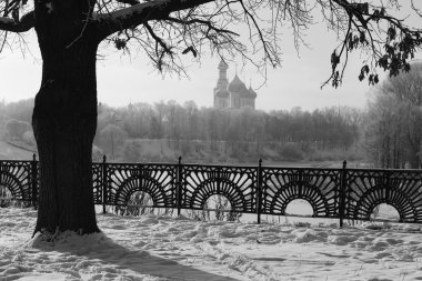 Park kış siyah ve beyaz