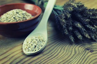 spikelets buğday ve arpa tabak