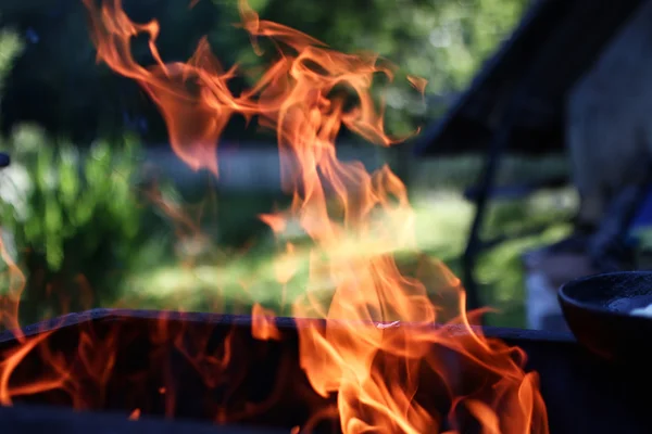 屋外の火のオニオン フライ — ストック写真