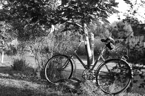 Bicicleta de foto monocromática em uma natureza rural — Fotografia de Stock