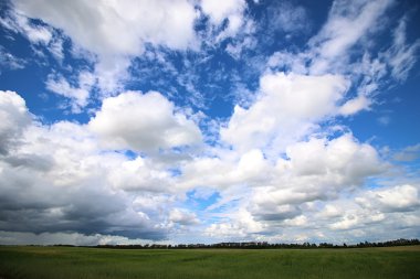 Peyzaj çayır gökyüzü bulut