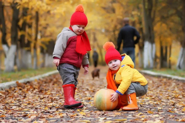 Enfants dans le parc d'automne avec citrouille — Photo