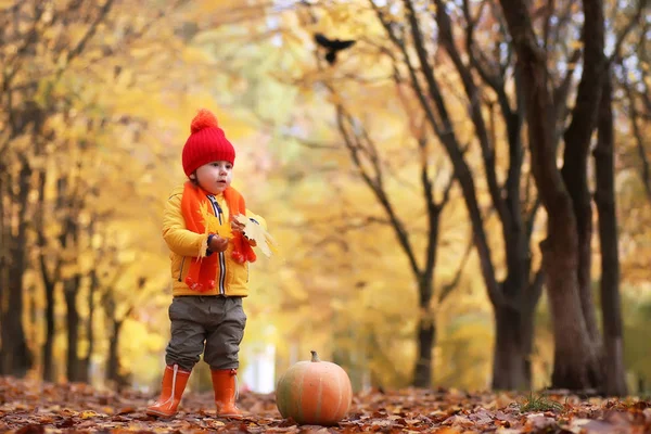 Kid i höst park med pumpa — Stockfoto