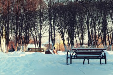 Kış Park bankında sokak