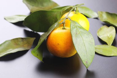 Mandarin meyvesi siyahı izole et