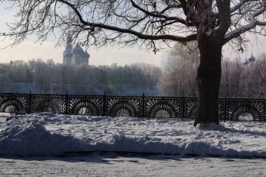 Kış ağaç çit kubbe