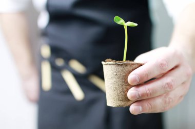 adam el avuç içi Filiz tutarak