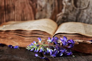 ahşap masa anahtar Retro kitap