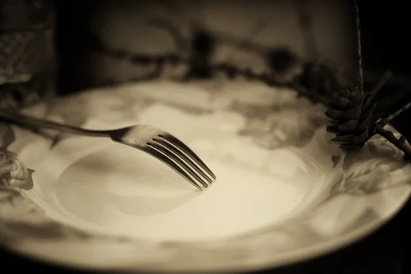 Toned fork in plate monochrome — Stock Photo, Image