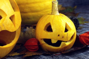 Cadılar Bayramı balkabağı yaprakları düşer