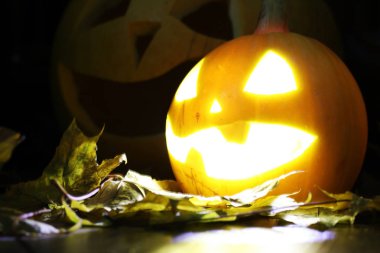 Cadılar Bayramı balkabağı yaprakları düşer