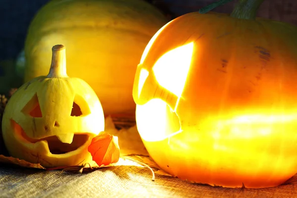 Caída de hojas de calabaza Halloween — Foto de Stock