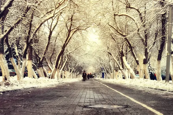 Sentiero pedonale albero inverno — Foto Stock