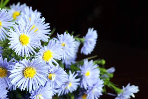 Flores selvagens anéis de buquê — Fotografia de Stock