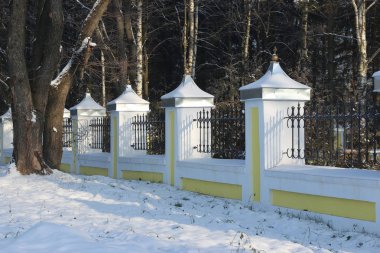 Kış ağaç çit kubbe