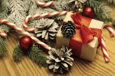 bir çam kozalağı Christmas dalları