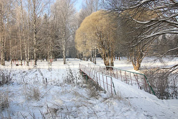 Зимовий сніговий парк ліс — стокове фото