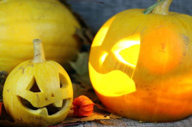 Cadılar Bayramı balkabağı yaprakları düşer