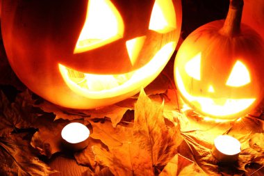 Cadılar Bayramı balkabağı yaprakları düşer