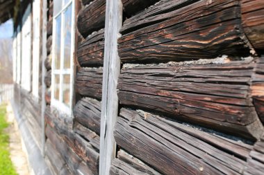 Ağaç dokusu açık havada.