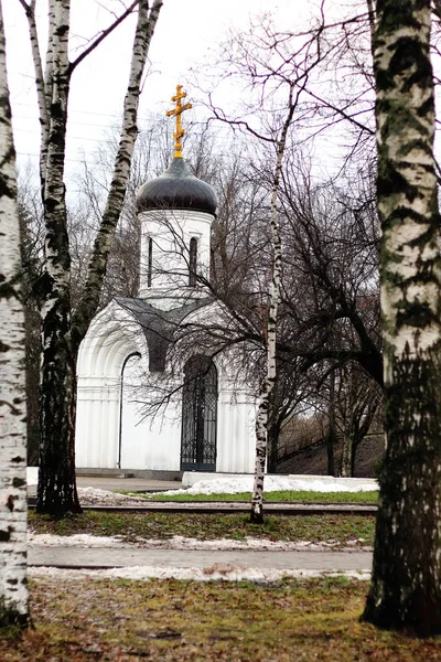 Ancient nordic cathedral — Stock Photo, Image