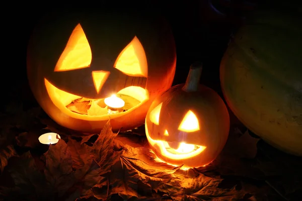 Caída de hojas de calabaza Halloween — Foto de Stock