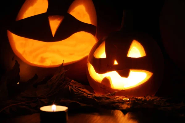 Halloween pumpa blad faller — Stockfoto