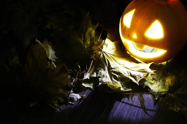 Halloween sütőtök levelek esik — Stock Fotó