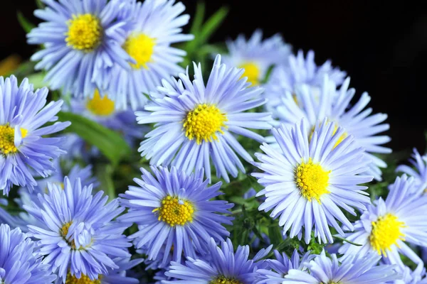 Wild flowers bouquet rings — Stock Photo, Image