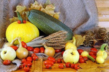 Kabaklar ve sonbahar sebze domates hasat